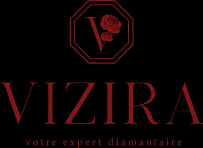 Logo Vizira