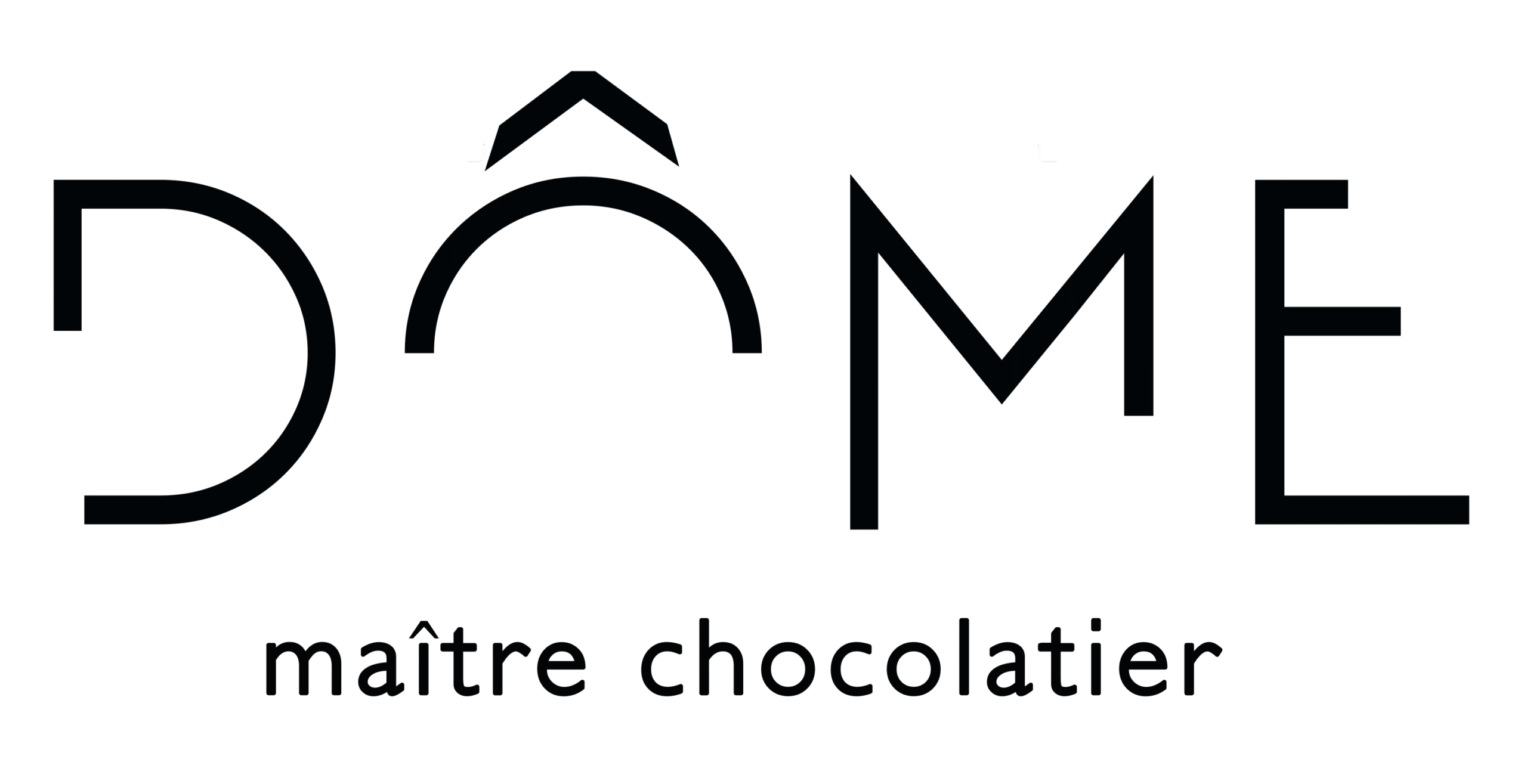 logo dome scaled